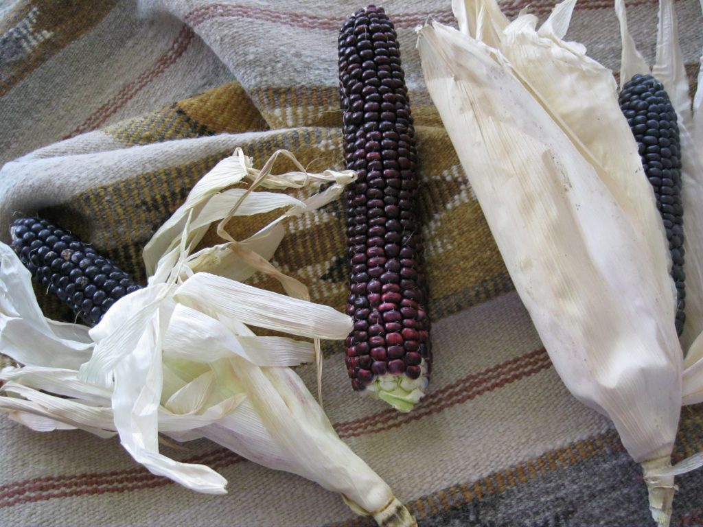 Hopi Blue Corn